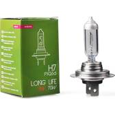 1 H7-Glühbirne 24 V, langlebig, 70 W M-Tech - PTXLL7