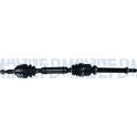 Cardan MAGNETI MARELLI - 302004190251