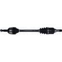 Cardan MAGNETI MARELLI - 302004190256