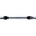 Semiassi MAGNETI MARELLI - 302004190150