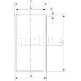 Canna del cilindro MAHLE BEHR - 021 WV 36 00