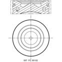 Êmbolo MAHLE BEHR - 007 PI 00102 001