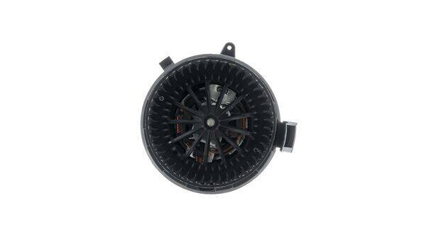 Interior Blower