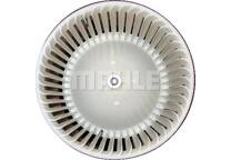 Interior Blower
