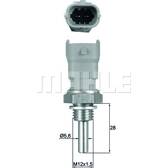 Sensor, coolant temperature MAHLE BEHR - TSE 10