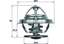 Termostato, refrigerante
