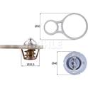 Termostato, refrigerante MAHLE BEHR - TX 255 91