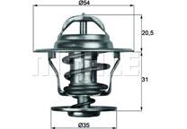 Thermostat, coolant