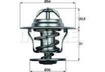 Thermostat, coolant