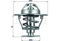 Thermostat d'eau