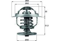 Thermostat, Kühlmittel