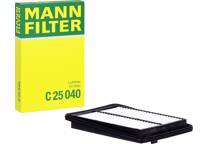 Filtro aria