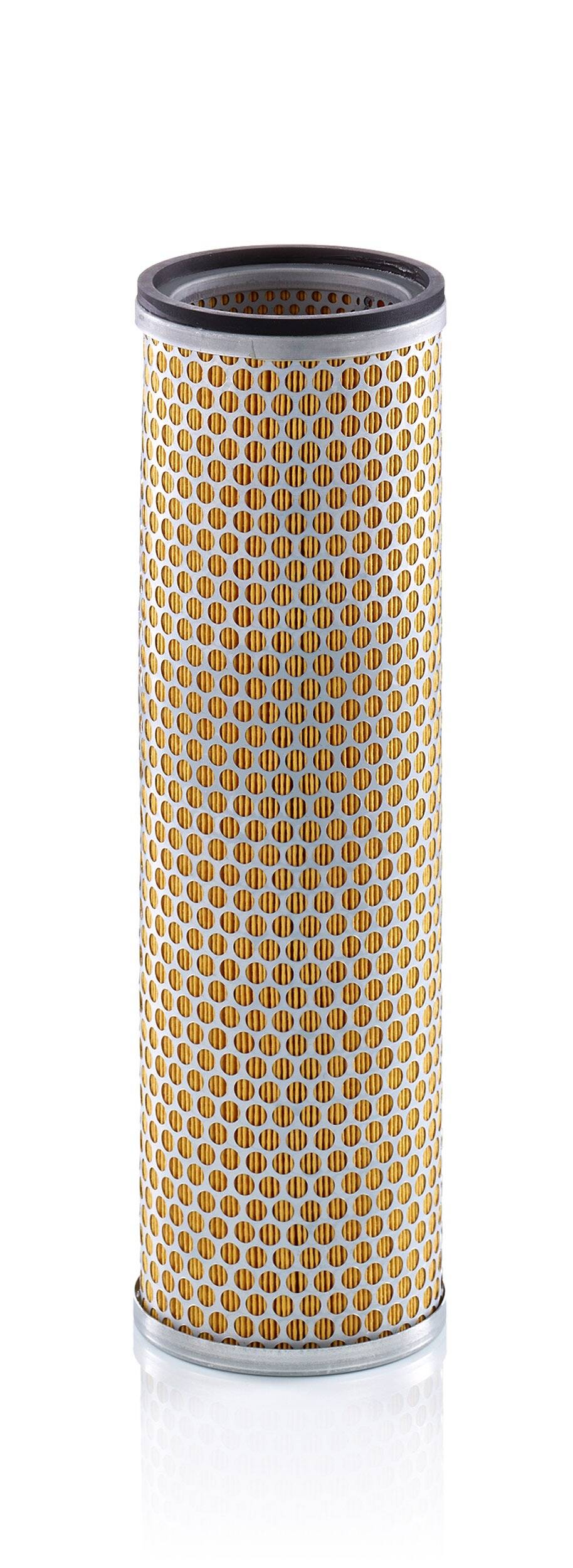 Secondary Air Filter