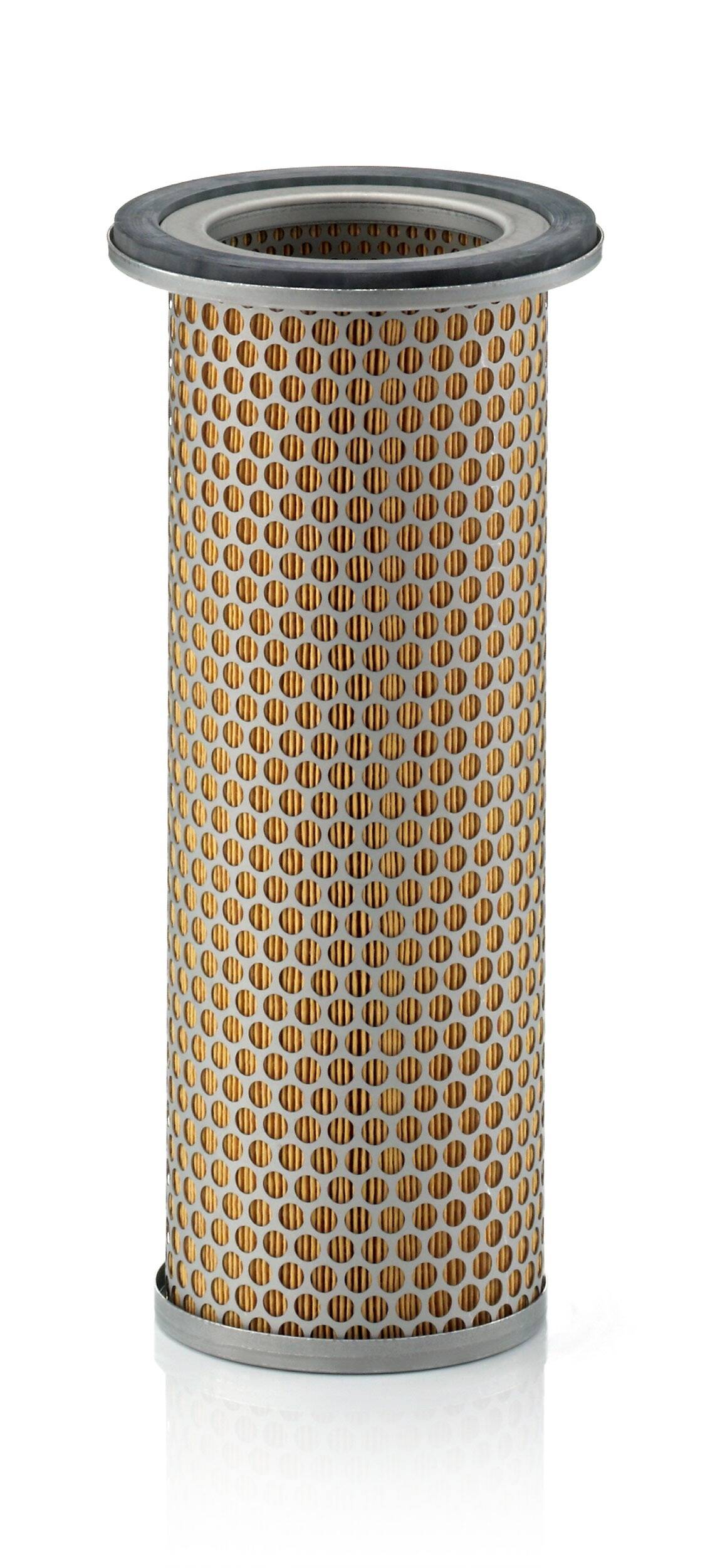 Secondary Air Filter