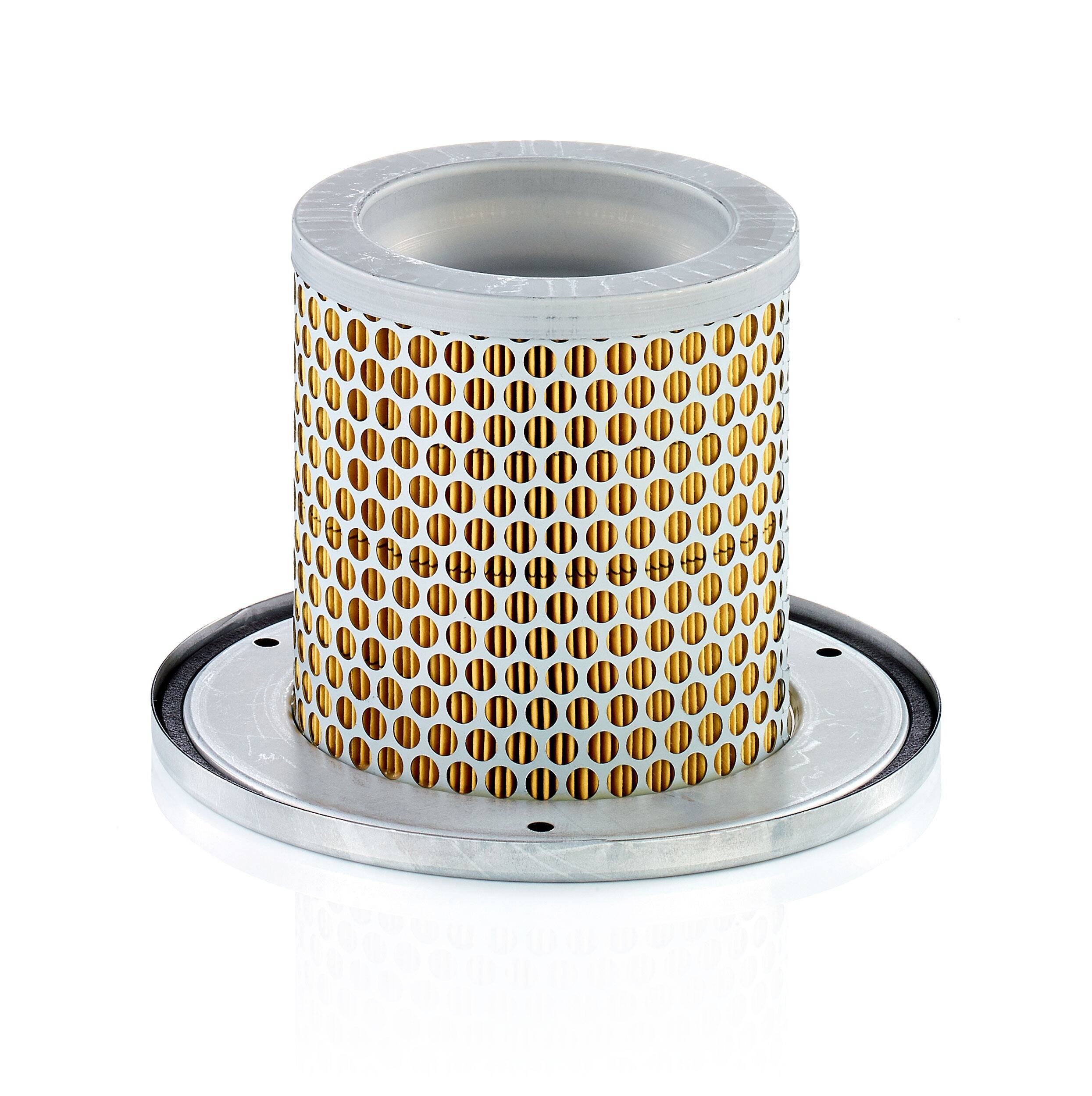 Secondary Air Filter