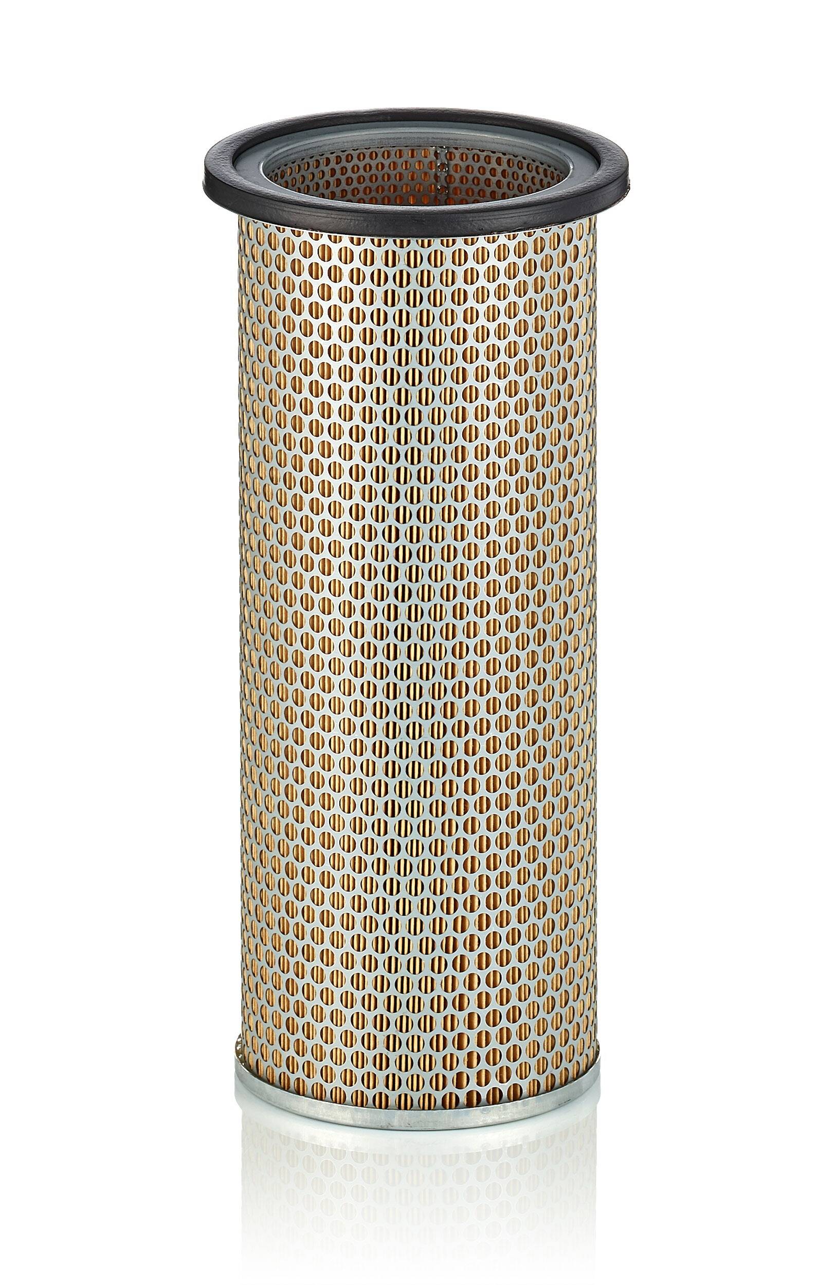Secondary Air Filter