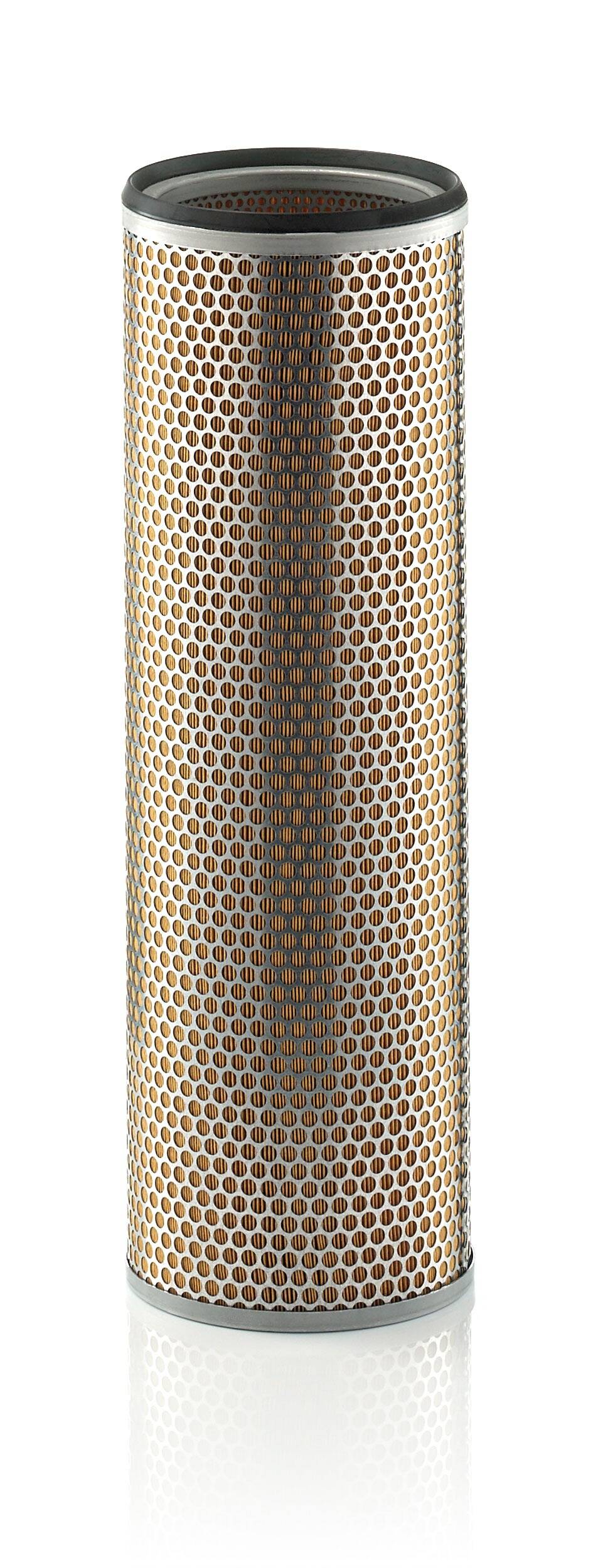 Secondary Air Filter