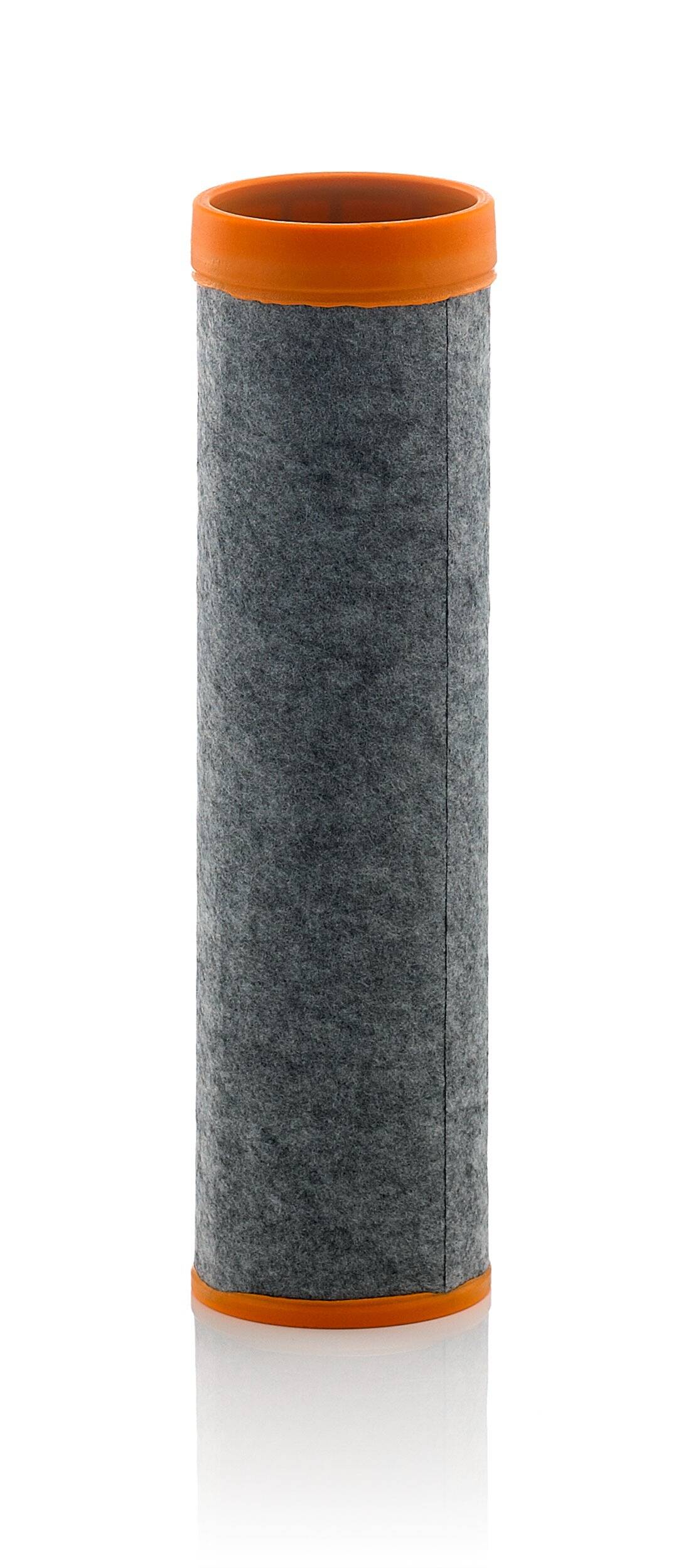Secondary Air Filter