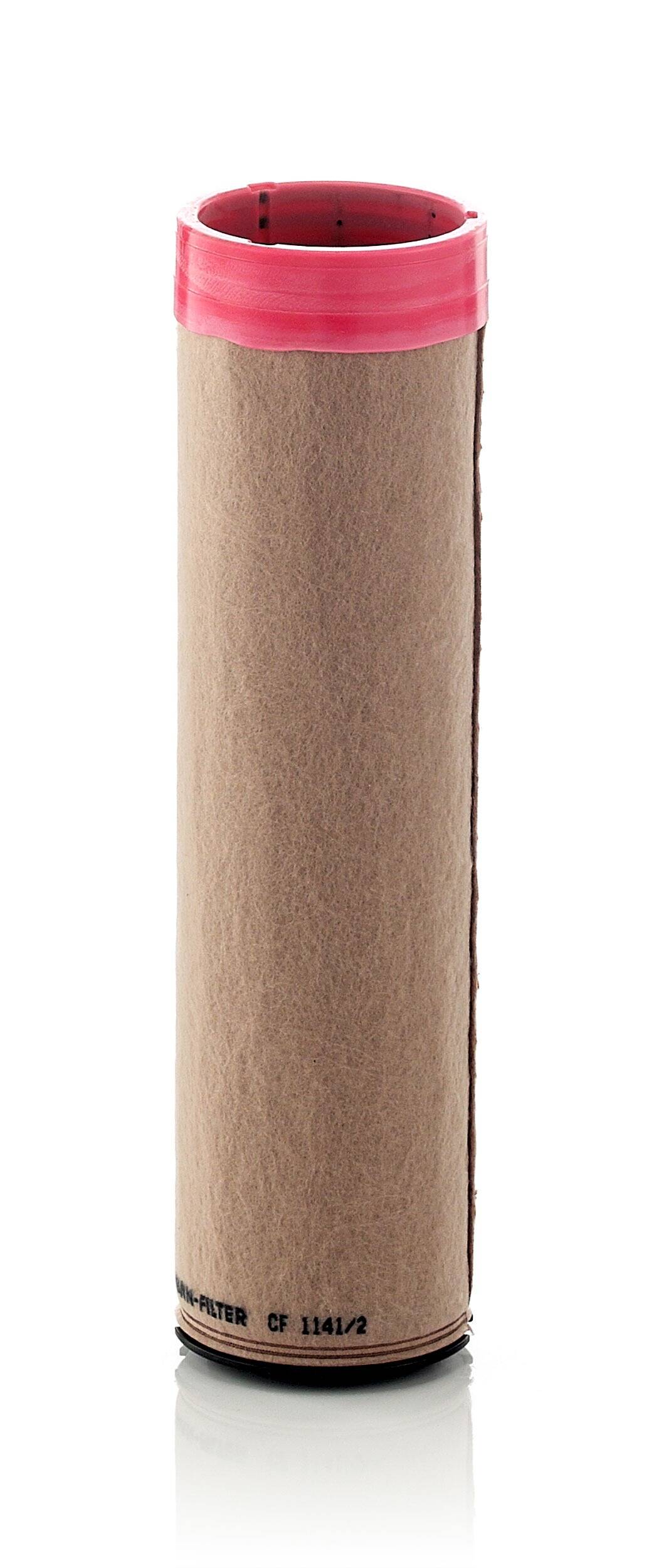 Secondary Air Filter