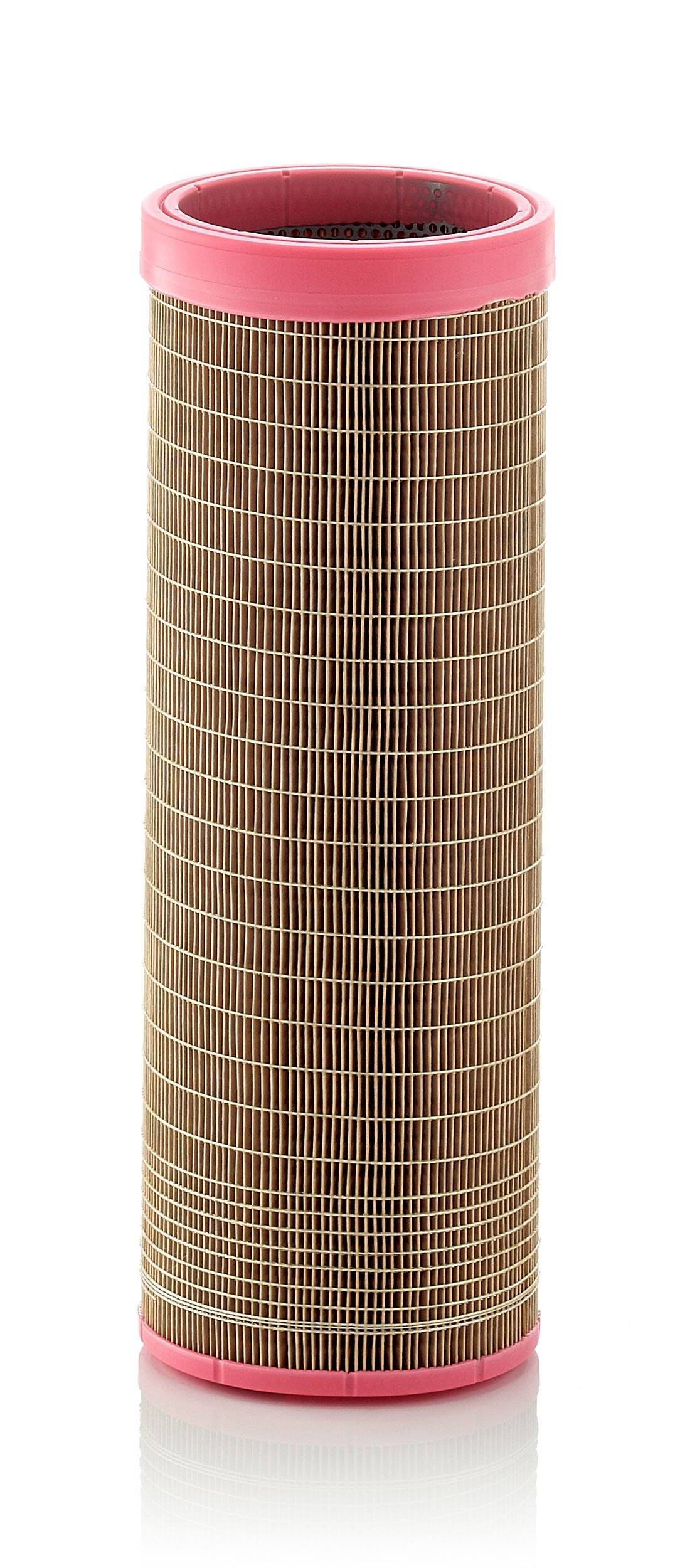 Secondary Air Filter