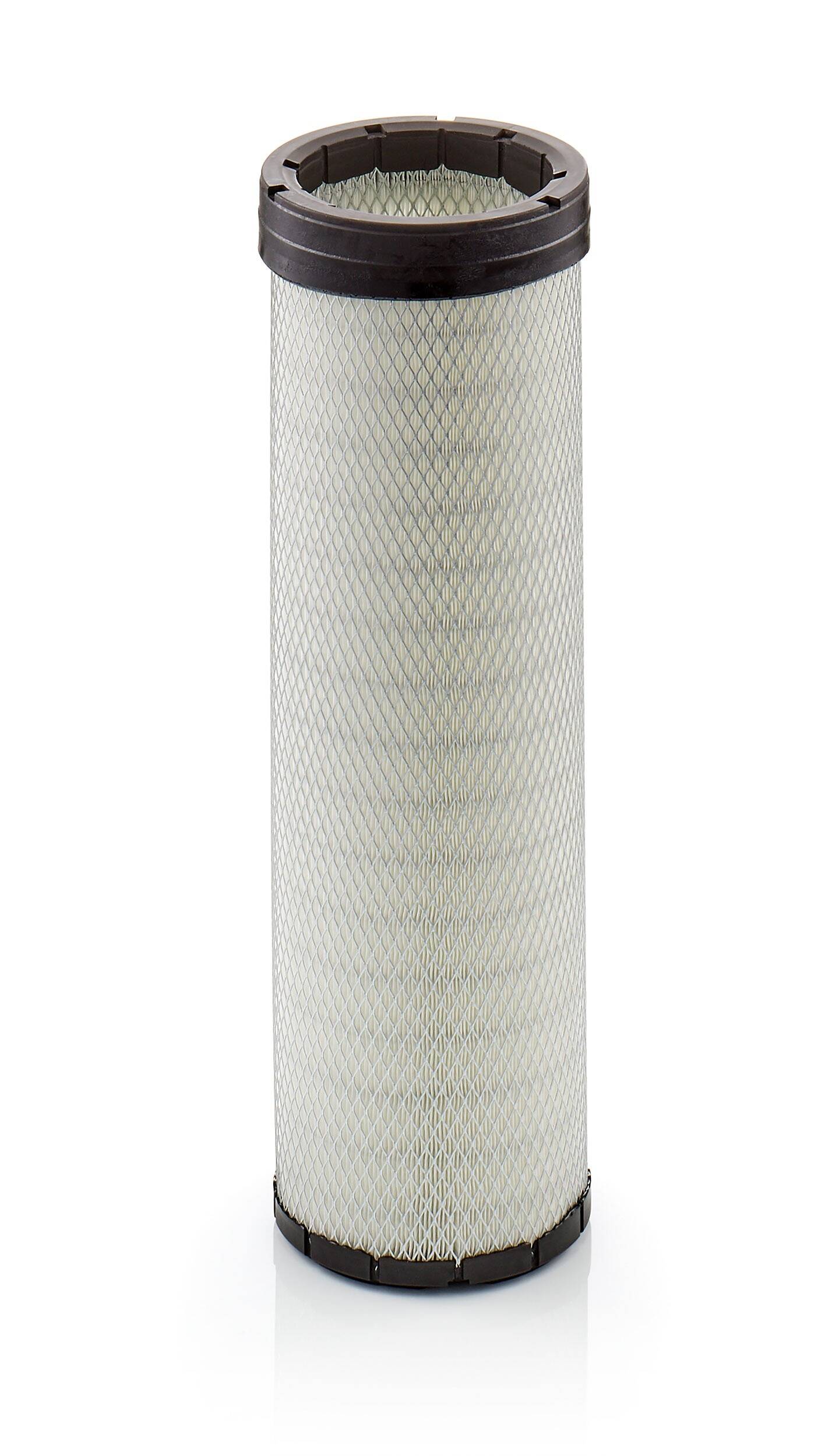 Secondary Air Filter