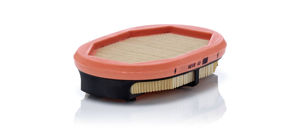 Secondary Air Filter