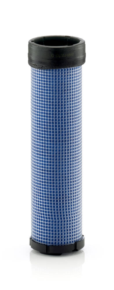 Secondary Air Filter