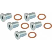Carterplug x5 MAPCO - 95930/5