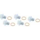 Carterplug x5 MAPCO - 95947/5