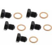 Carterplug x5 MAPCO - 95955/5