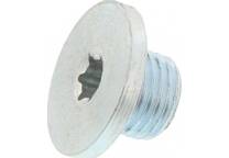 Oil drain cap