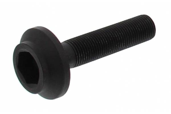 Screw / Bolt