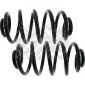 Suspension Kit, coil springs MAPCO - 70773/2