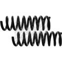 Suspension Kit, coil springs MAPCO - 71791/2
