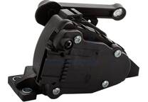 Accelerator Pedal