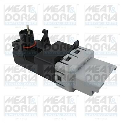 Electric window module (Temic)