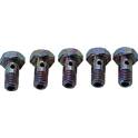 Screw / Bolt (x5) MEAT AND DORIA - 98173