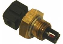 Sensor, intake air temperature