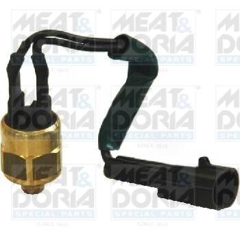 Temperature Switch, coolant warning lamp