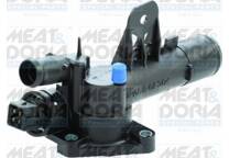 Thermostat, coolant