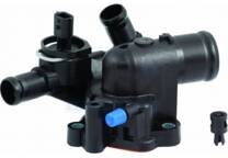 Thermostat, coolant