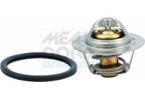 Thermostat d'eau