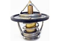 Thermostat, Kühlmittel