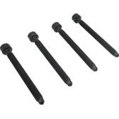 Jeu de 4 vis, porte-injecteur MEAT AND DORIA - 98093