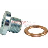 Carterplug METZGER - 8030002