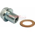 Carterplug METZGER - 8030022
