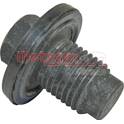 Carterplug METZGER - 8030033