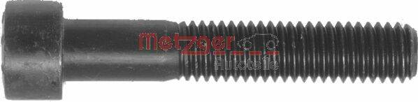 Bolt, brake caliper