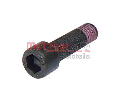 Bolt, brake caliper