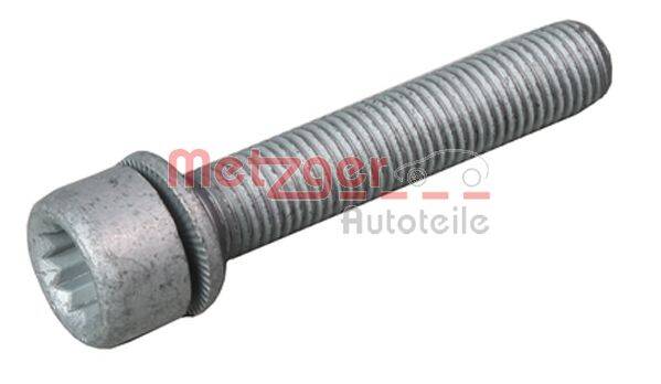 Bolt, brake caliper